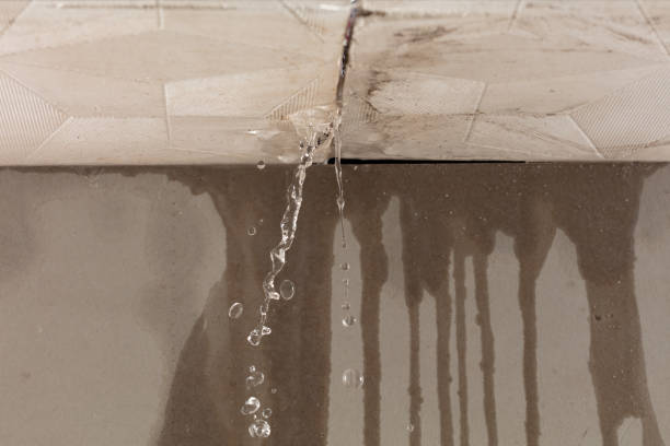 Professional Water Damage Inspection technician working in Trabuco Canyon, CA